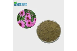 邻二甲苯标准溶液