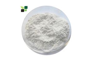 八宝罗盘手链