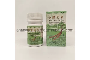 Wood Pulp C2S Coated Matt Chromo Art Paper 300gsm in Roll or in Sheet