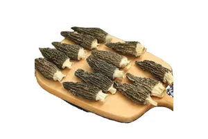 (Z)-2-(2-Bromohex-1-en-1-yl)-4,4,5,5-tetramethyl-1,3,2-dioxaborolane