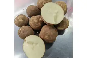 苯乙烯