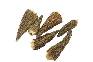 二氢乌本(箭毒)苷