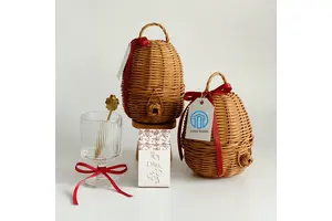 3-氯邻茴香胺