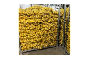 Catalysts & Chemical Auxiliary Agents Material Selection for Retail Chains: Straightforward 2025 Guide No.156