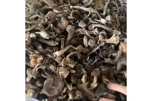 路派雷强竿