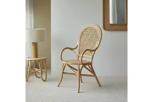 2,4,5-三氯苯胺