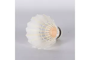 异紫草酸