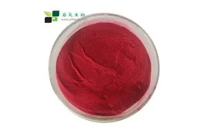 ART-CHEM-BB B000225