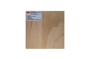 100 Sheets A4 Blue Carbon Transfer Copy Graphite Paper With Embossing Stylus Tool for Tracing