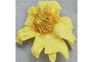 Amberlite® IRC-748