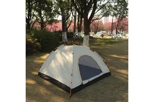 N-芴甲氧羰基-N,N'-二苄氧羰基-L-精氨酸
