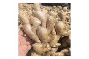 合成云母