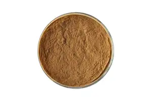 Premium Chondroitin Sulphate 1200mg for Joint Mobility Support