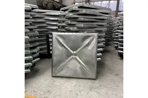 N,N'-二环己基碳二亚胺(DCC)