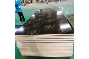 1/8MS培养基(含1/8大量元素，含维生素、蔗糖，不含琼脂)