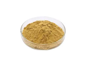 Custom Spice Bottle Stickers Oil Proof Roll Food Jars Cans Stick Vinyl Plastic Printing Packaging Label Labels Sticker