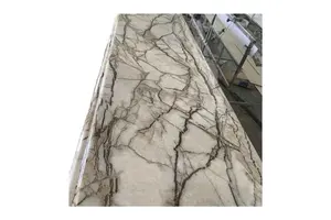 3-(苄氧基)-6-溴-4-甲氧基皮考啉酸