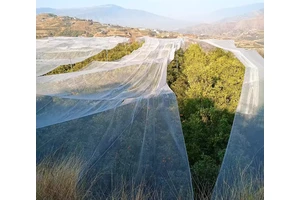 6-氨基-2-甲氧基-5-甲基嘧啶-4(3H)-酮