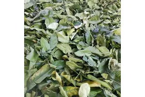 综合竿推荐