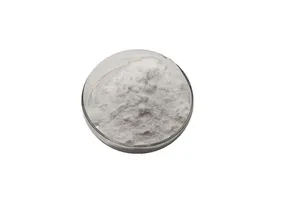 1-(7-溴-5-硝基-1H-吲哚-1-基)乙酮