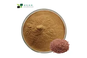 N,N′-Dicyclohexylcarbodiimide