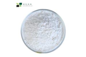 Amberlite® IRC-748