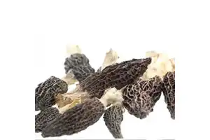 槲皮素-3-O-α-L-鼠李糖-7-O-α-D-葡萄糖苷