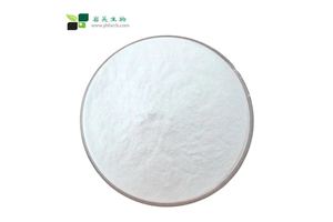 Inorganic Chemicals Market Trends for Global Buyers: Complete 2025 Guide No.1
