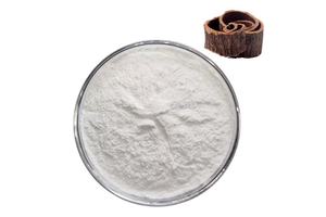 Napkins OEM/ODM Virgin Wood Pulp Multi-Purpose Lint-Free Eco-Green Disposable Catering Paper Napkins Napkins Tissue Paper