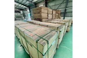 Amberlite® IRC-748