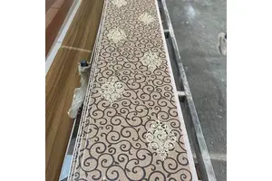 White培养基(含蔗糖、琼脂)