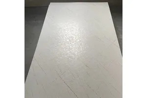 2,3-二氯苯酚