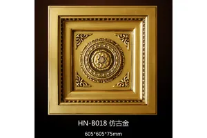 菲律宾南五味子素J