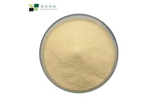 N-Lauryl sarcosine sodium salt