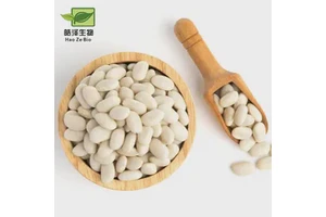 Suppliers Carbonless Paper Manufacturer Computer Continuous Printing Paper Form Pink Yellow Green White