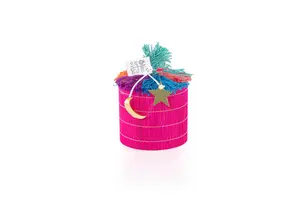 N-环己基- 4,5,6,7-四氢噻吩[3,2-C]吡啶-2-甲酰胺 溴酸盐