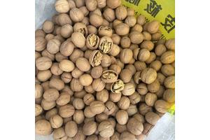 1-(2-环丙基氨基-6-甲基-嘧啶-4-基)-哌啶-4-醇