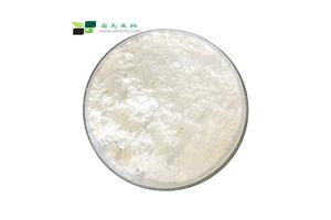 Catalysts & Chemical Auxiliary Agents Customization Options for Spot Purchasing: Updated 2026 Guide No.247