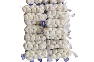 5-CHLORO-2-THIENYLMAGNESIUM BROMIDE