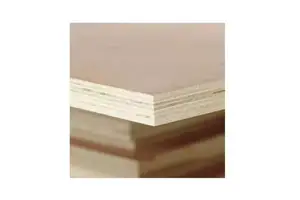 Evergreen Edc Machine Gsm48 57*13Cm 57X40 Core Less Thermal Paper Rolls 57Mm X 38Mm 48Gsm