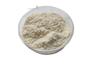 Acetic Acid Assay Kit