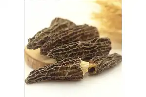 盐酸托哌酮