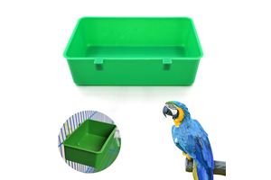 Bpa Till Rolls Thermal Paper Jumbo Roll