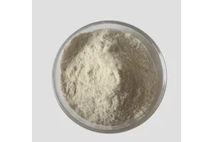 普罗布考-丙酰基-¹³C3
