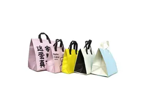 1-(3-氯吡嗪-2-基)吡咯烷-2-酮