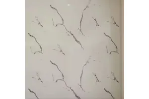 虫丝pe线