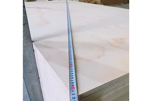 电子夜光漂排行榜第一名