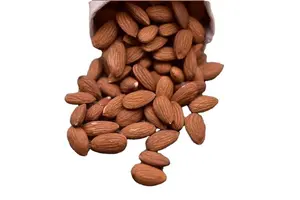 Basic Organic Chemicals Market Trends for Global Buyers: Complete 2025 Guide No.1