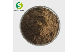 中性转化酶(NI)/细胞质转化酶试剂盒
