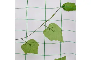 Wire Mesh Packaging Solutions for Cross-Border E-Commerce: Practical 2025 Guide No.129